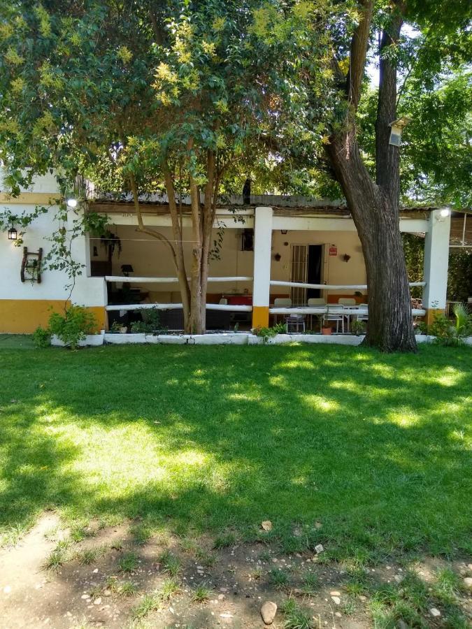 Finca El Naranjo Seville Exterior photo